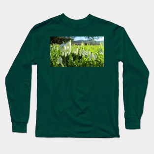 Snowdrops in the Sunshine Long Sleeve T-Shirt